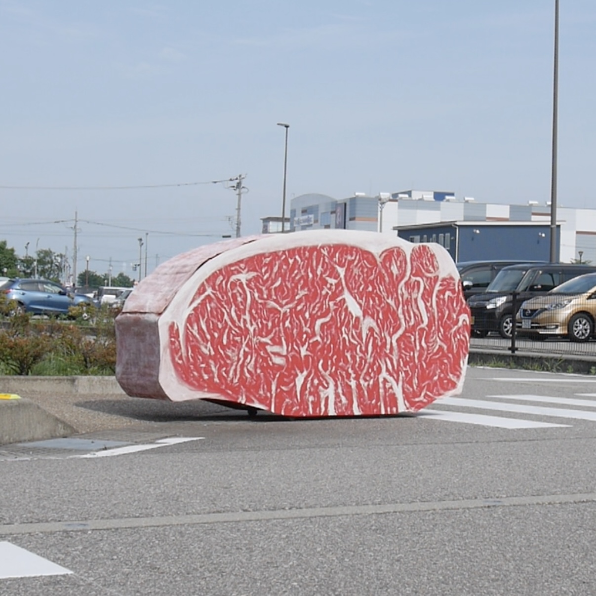 いきものとして